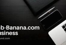 Lab-Banana.com Business